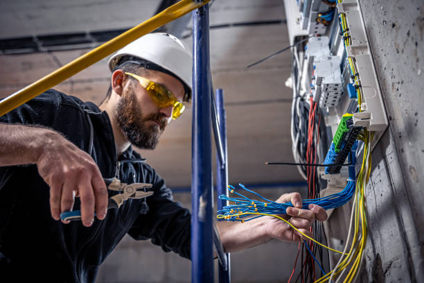 Best Electrical System Inspection  in Ellsworth, KS