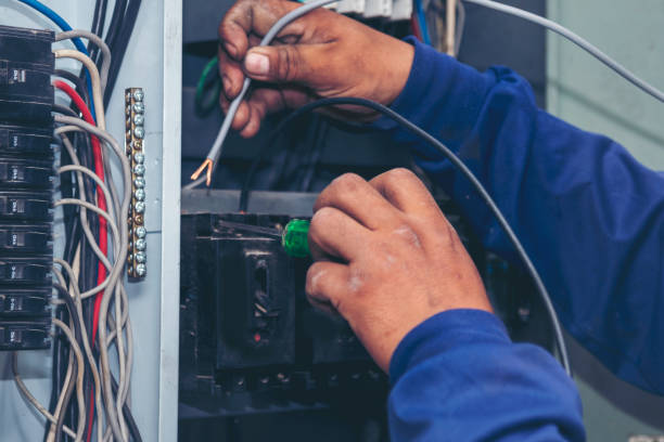 Best Electric Panel Repair  in Ellsworth, KS